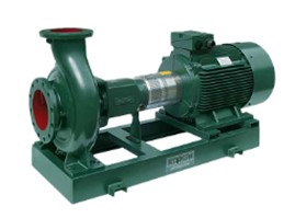 НАСОСЫ ГОРИЗОНТАЛЬНЫЕ <span>CAPRARI NC100</span>
